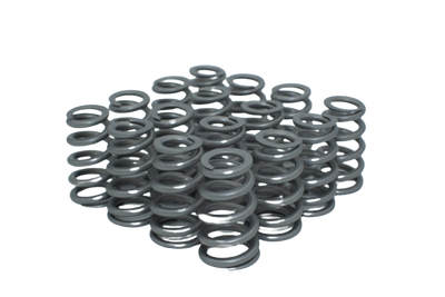 Hemi Valve Springs
