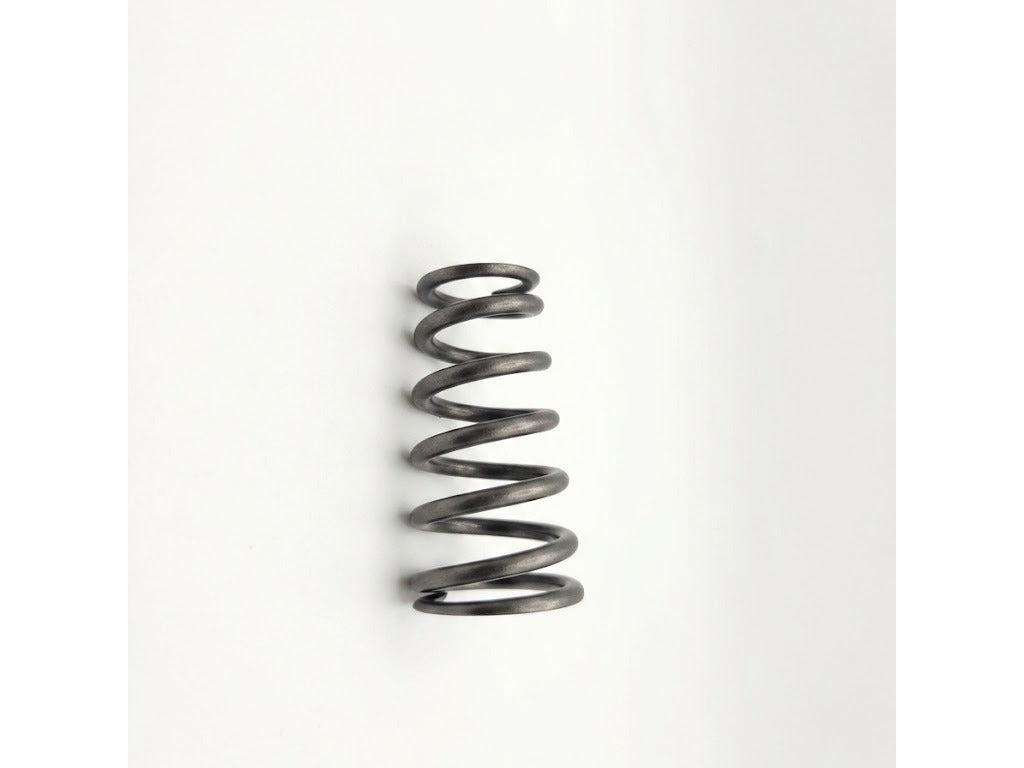 Manton Diesel D-105-KIT-24v - Engine Valve Spring
