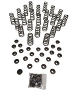 Manton Diesel D-105-KIT-24v-HB - Engine Valve Spring
