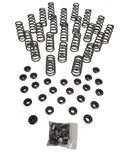 Manton Diesel D-105-KIT-24v - Engine Valve Spring