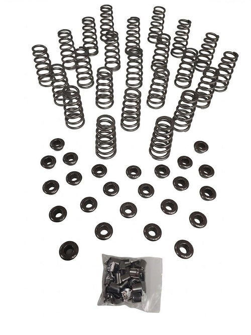 Manton Diesel D-105-KIT-24v - Engine Valve Spring