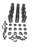 Manton Diesel D-105-Kit-12v - Engine Valve Spring