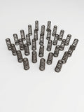 Manton Diesel D-105-6.7SF - Engine Valve Spring