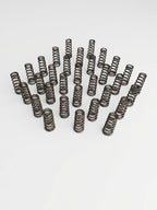Manton Diesel D-105-6.7SF - Engine Valve Spring