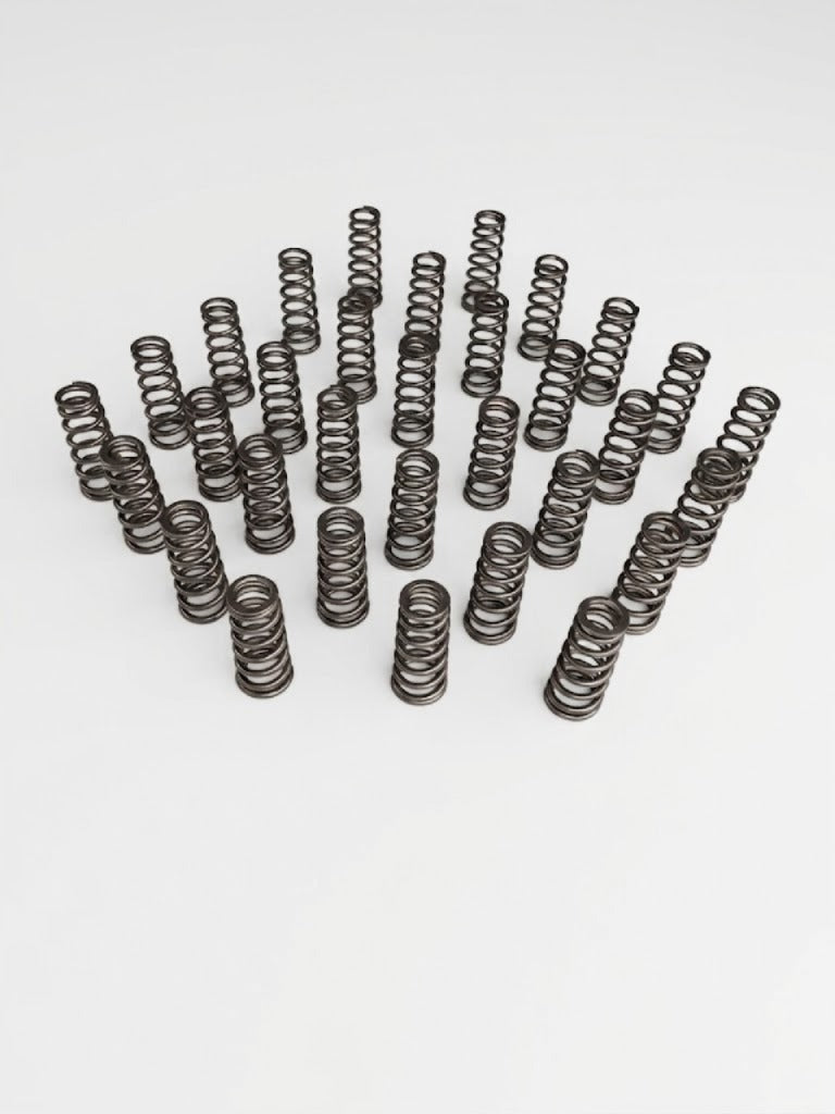 Manton Diesel D-105-6.7SF - Engine Valve Spring