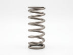 Manton Diesel D-105-24v-E - Engine Valve Spring