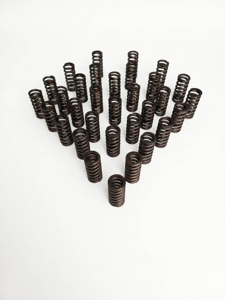 Manton Diesel D-6.0/6.4PS-STG2.5 - Engine Valve Spring Kit